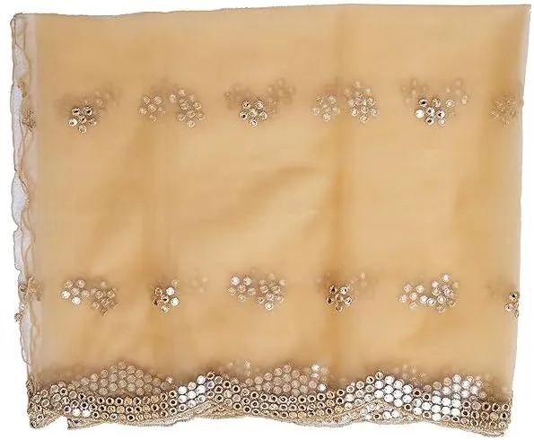 Champagne Net Dupatta with intricate patterns and designs for bridal wearing styles.